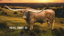PACIFIC COWBOY 40